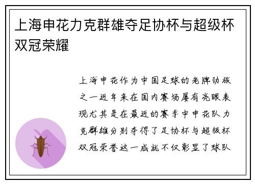 上海申花力克群雄夺足协杯与超级杯双冠荣耀